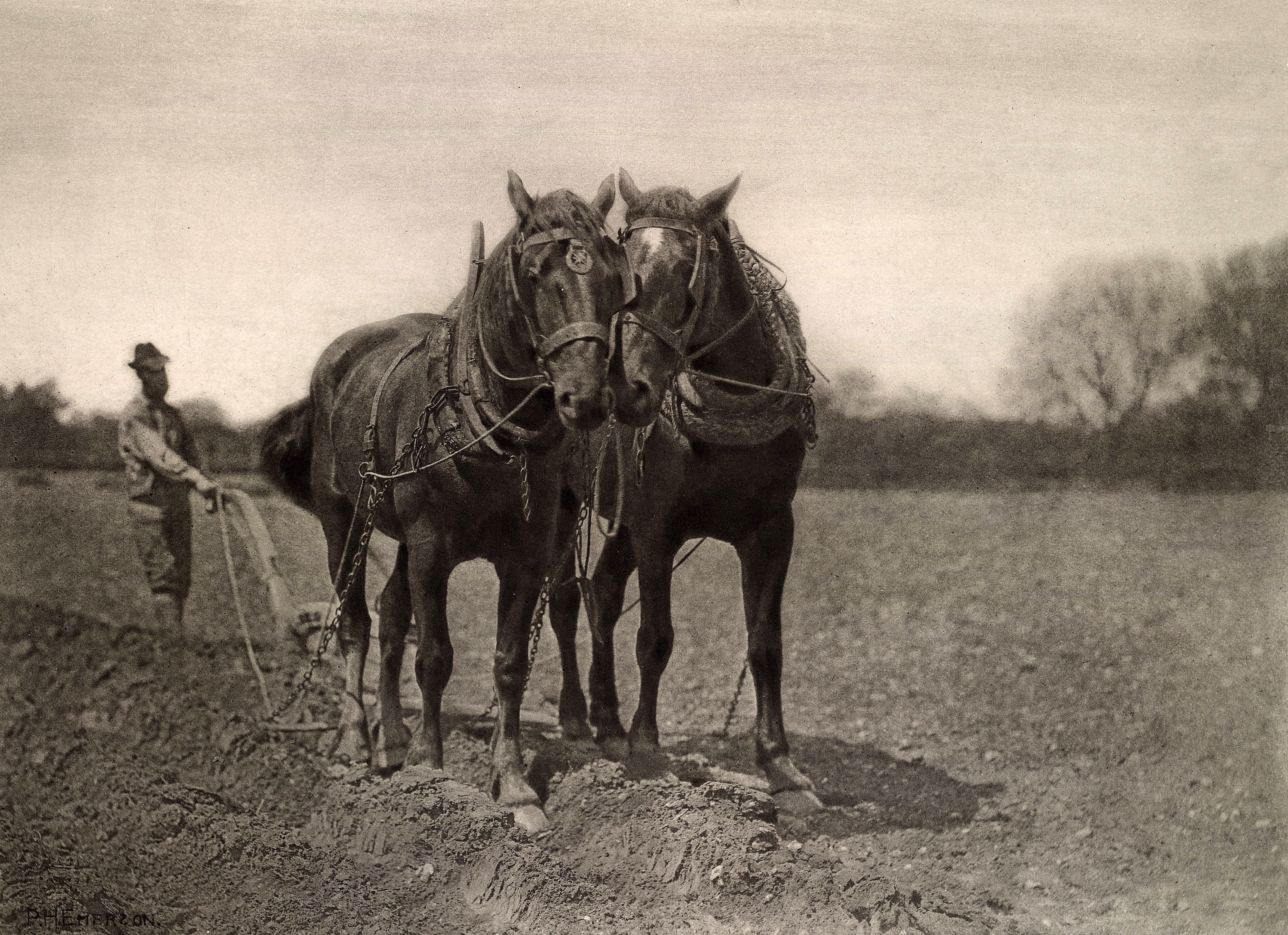 The End Of The Furrow